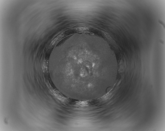 X0000100370140200806201636