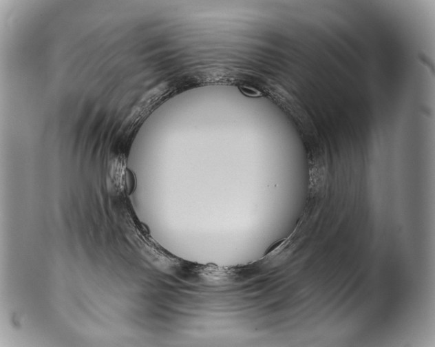 X0000100370142200806201636