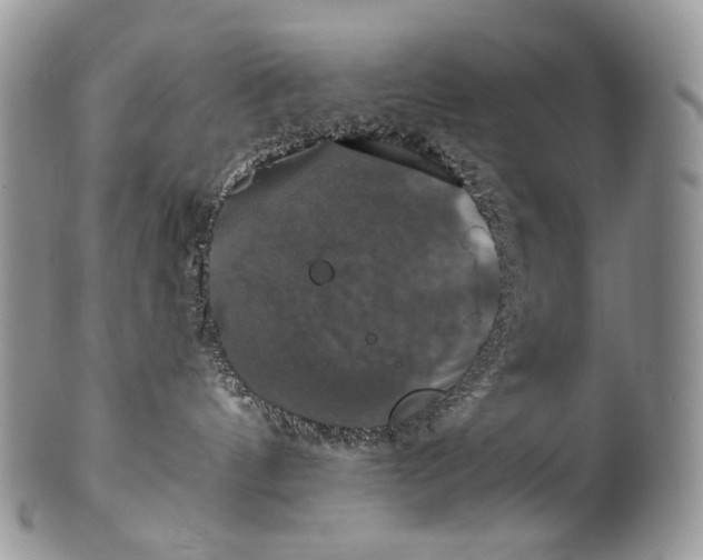 X0000100370144200806201636