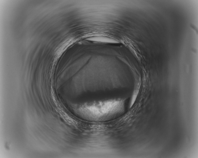 X0000100370145200806201635