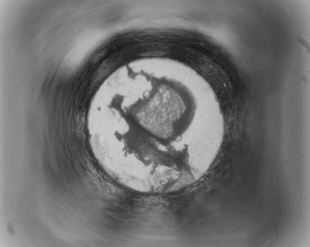 X0000100370146200806201635