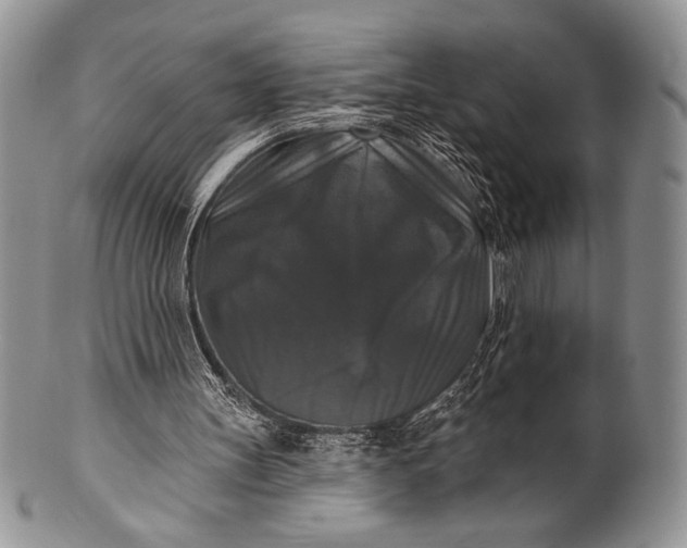 X0000100370147200806201636