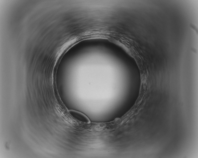 X0000100370148200806201636