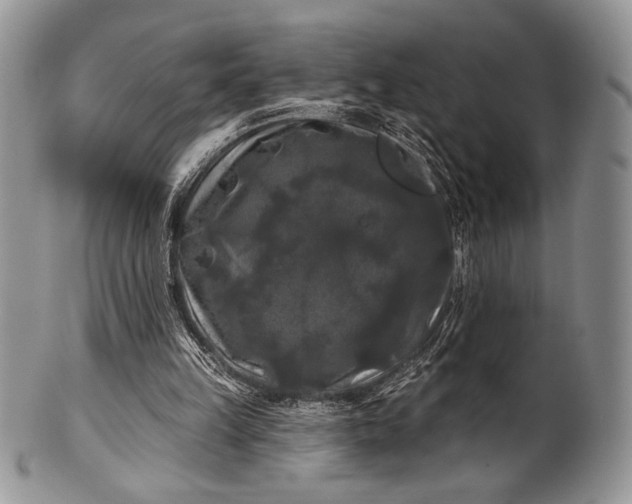 X0000100370149200806201636