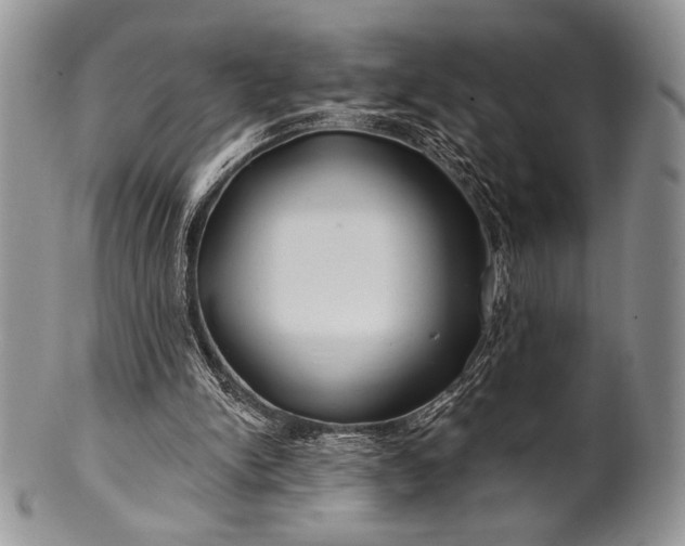 X0000100370150200806201636