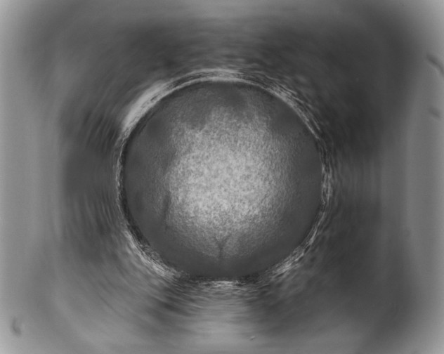 X0000100370151200806201636