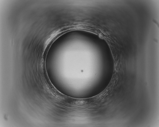 X0000100370152200806201636