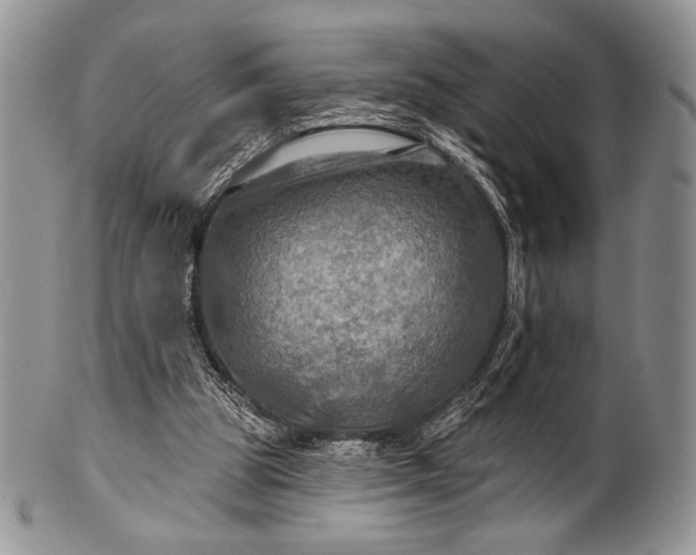 X0000100370153200806201636