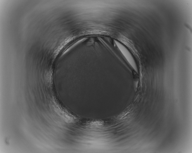 X0000100370156200806201636