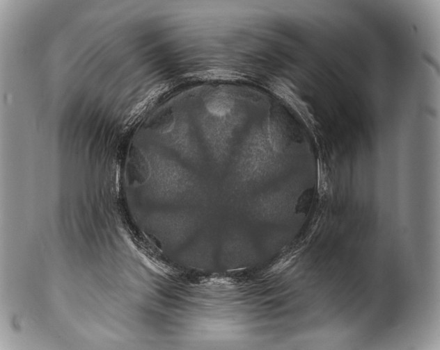 X0000100370157200806201636