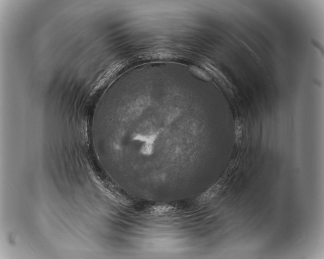 X0000100370158200806201636