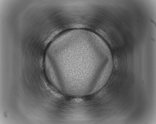 X0000100370159200806201636