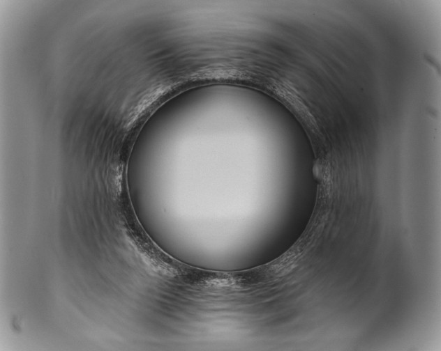 X0000100370160200806201636