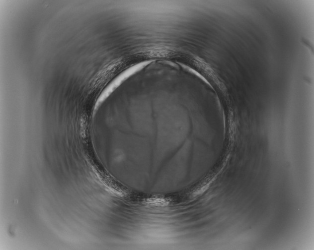 X0000100370161200806201636