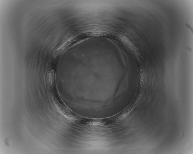 X0000100370165200806201636