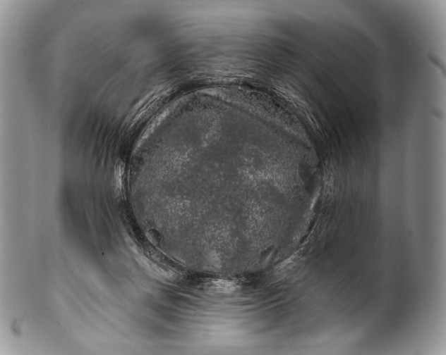 X0000100370166200806201636