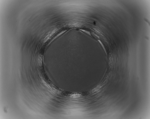 X0000100370168200806201636