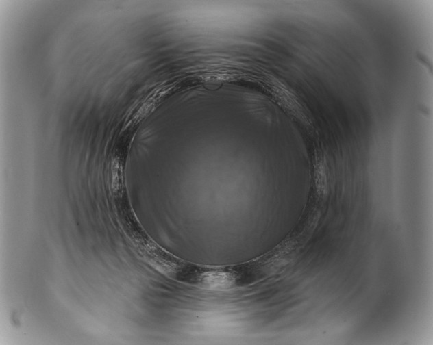 X0000100370169200806201636