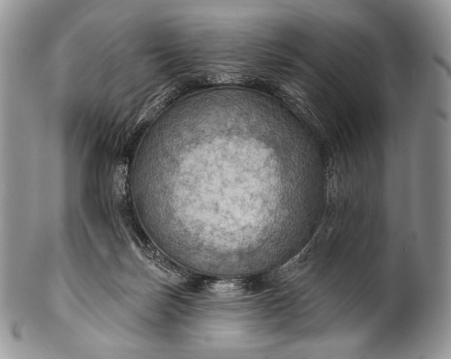 X0000100370171200806201636