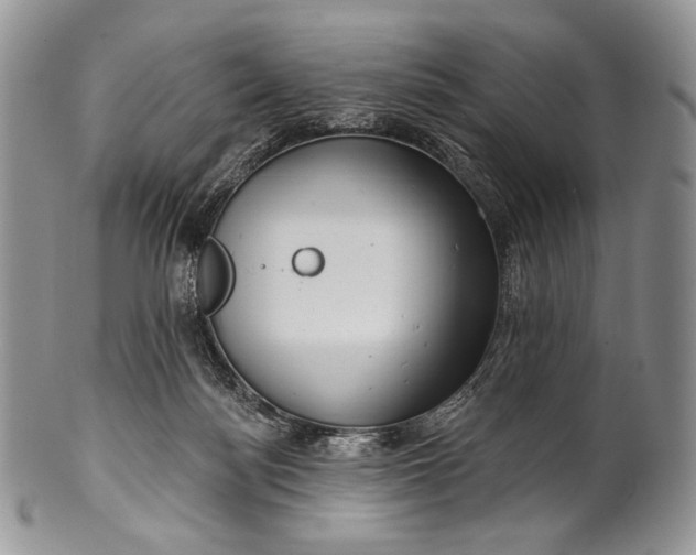 X0000100370172200806201636