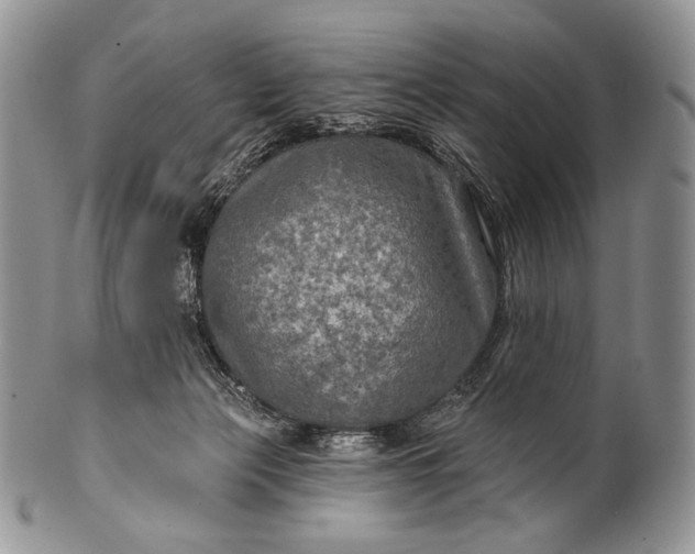 X0000100370173200806201636