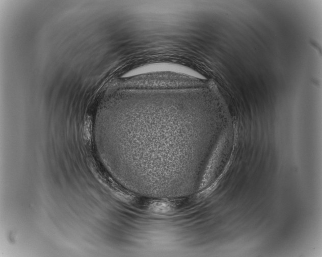 X0000100370174200806201636