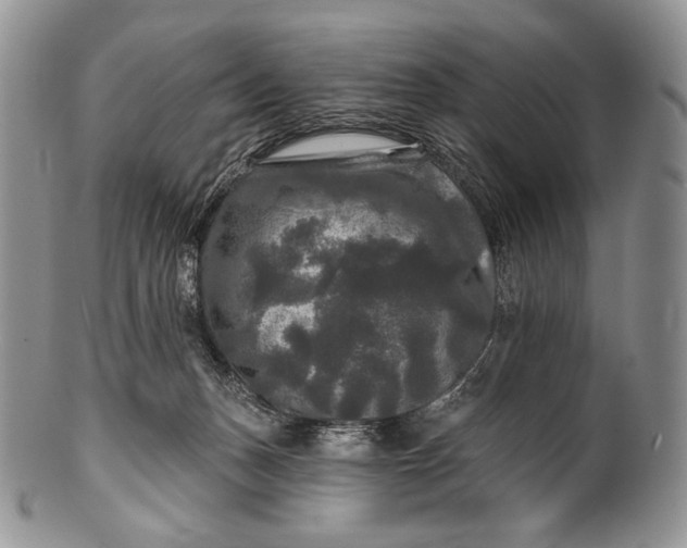 X0000100370175200806201636