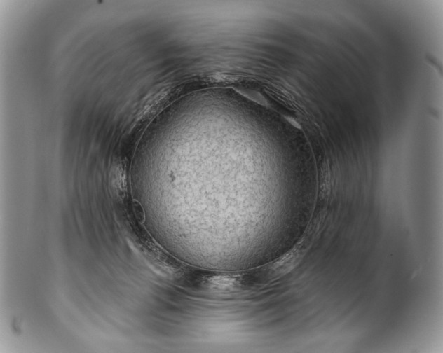 X0000100370176200806201636