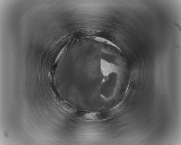 X0000100370178200806201636