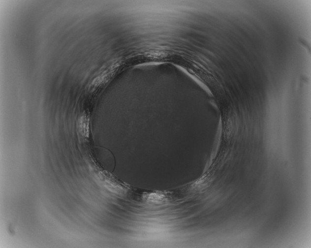 X0000100370180200806201636