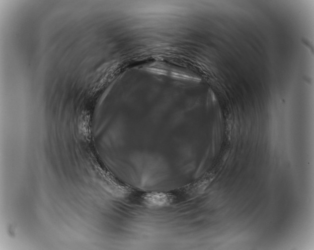 X0000100370181200806201636