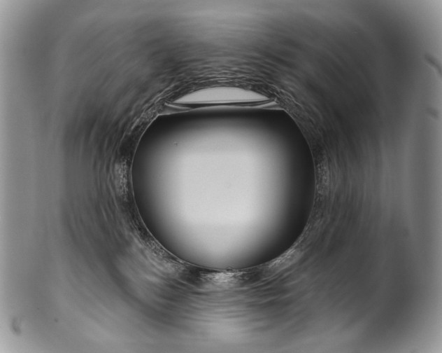 X0000100370184200806201636