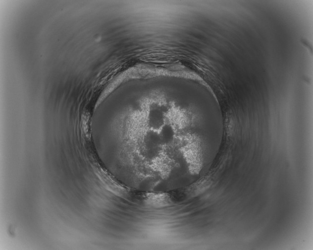 X0000100370185200806201636