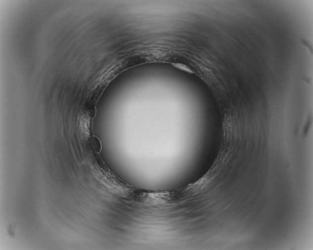 X0000100370188200806201636