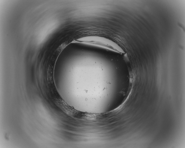 X0000100370190200806201636