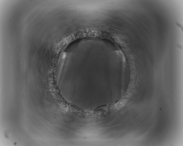 X0000100370192200806201636