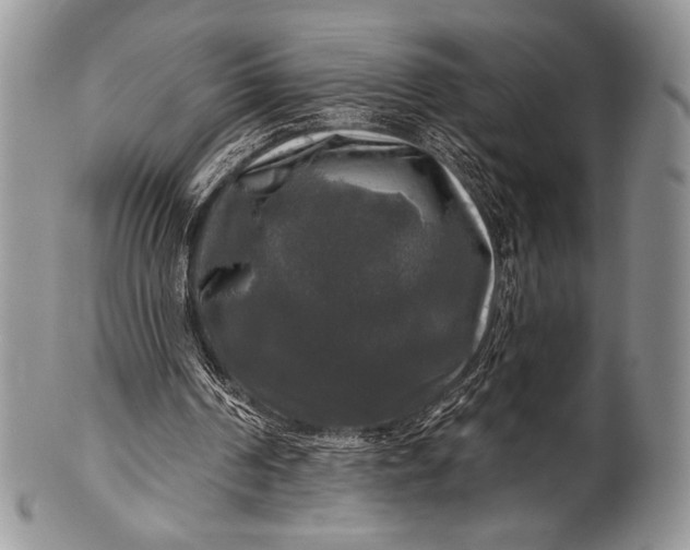 X0000100370194200806201635