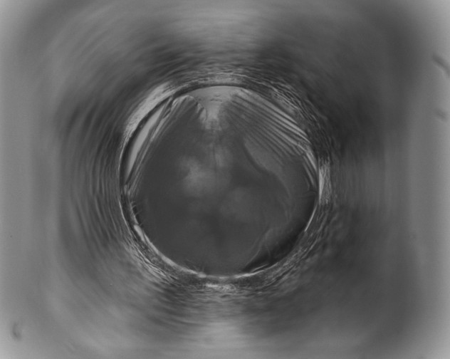 X0000100370195200806201635