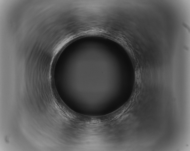 X0000100370196200806201635