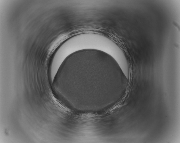 X0000100370197200806201635