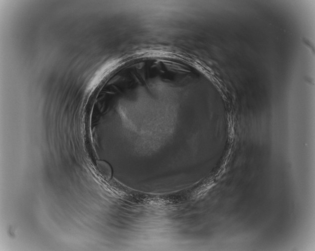 X0000100370199200806201635