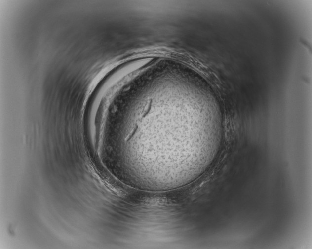 X0000100370200200806201635