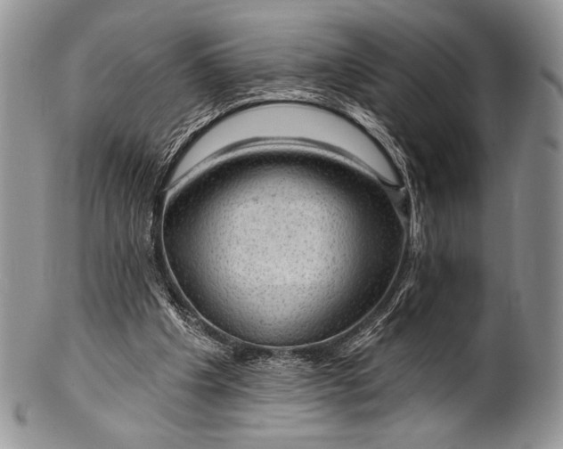 X0000100370201200806201635