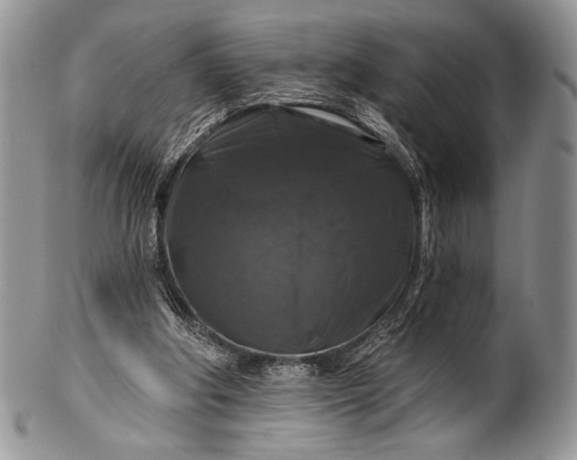 X0000100370202200806201635