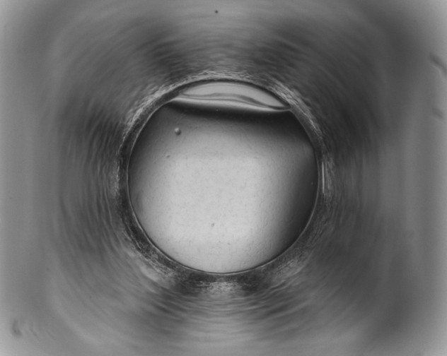 X0000100370204200806201635