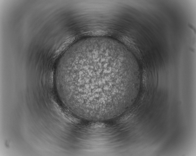 X0000100370206200806201635