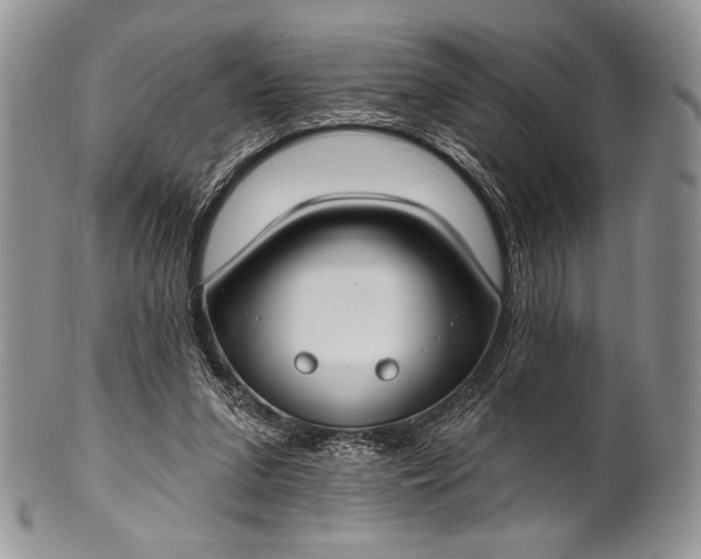 X0000100370207200806201635