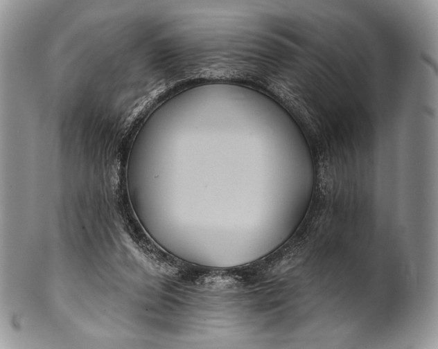 X0000100370208200806201635