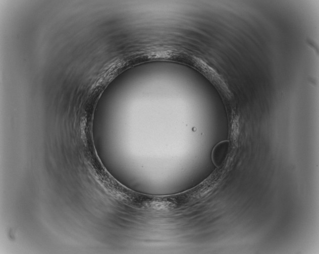 X0000100370209200806201635