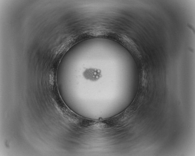 X0000100370210200806201635